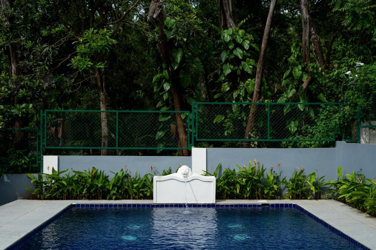 Elivaas 5 Bhk With Pvt Pool, Entertainment Room & Glass House - Bludoor Marmagao Eksteriør bilde